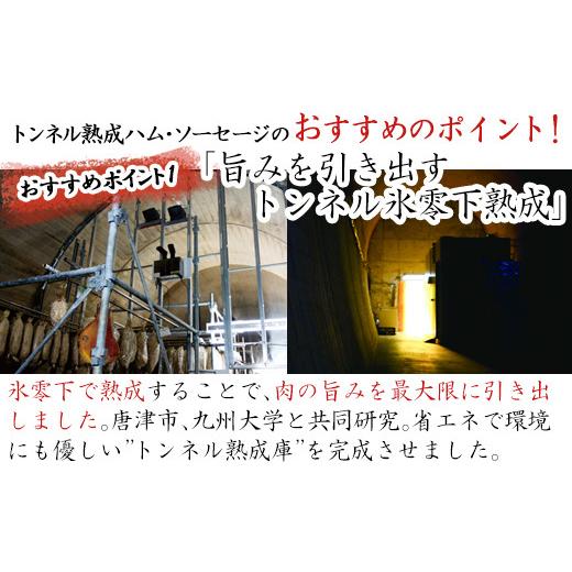 ふるさと納税 佐賀県 唐津市 トンネル氷零下熟成ハム・ソーセージセット　TPC-2 「2023年 令和5年」