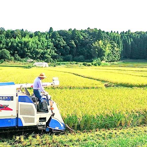 新米  千葉県産 白米 粒すけ 10kg 令和5年産 (5kg×2) ※すべての出品を見るからご購入いただけます