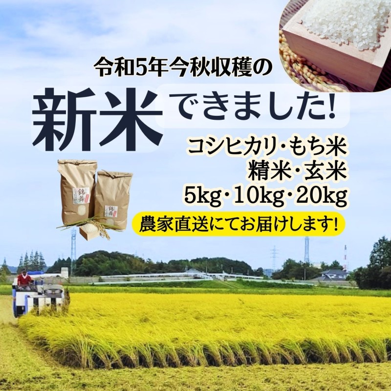 令和5.年産棚田育ちのヒヨクモチ20kg 新米 - 米・雑穀・粉類