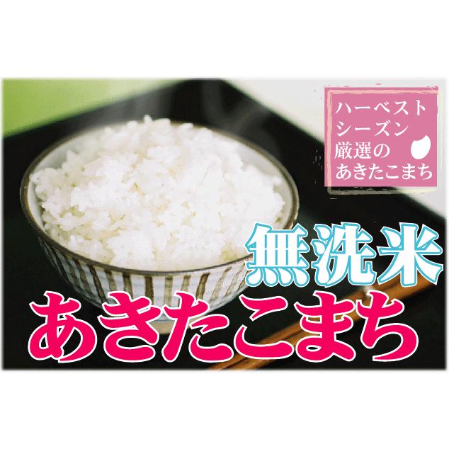 特価 ポイント3倍 新米 令和5年産 無洗米 5kg×2 あきたこまち 10kg 山形県産 お米 送料無料（SL）