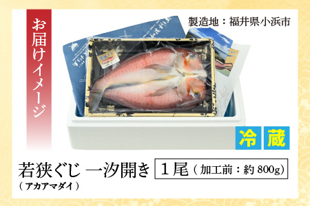 若狭ぐじ 一汐開き 1尾 800g　甘鯛 タイ アカアマダイ 焼き魚 高級[C-015003]