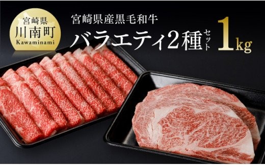 ※令和6年2月より順次発送※ 宮崎県産 黒毛和牛 バラエティ2種セット すき焼き ステーキ 赤身 霜降り 国産 牛肉 牛 肉 わけあり ウデ うで ロース スライス [G0680]