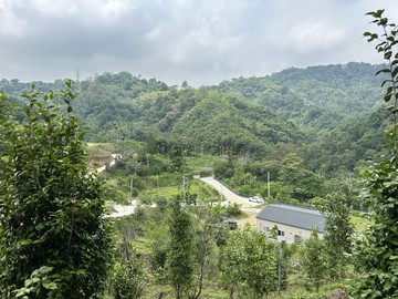 卓蘭近長青谷｜種果樹有資材室｜路況好視野佳-A｜苗栗縣卓蘭鎮卓蘭段