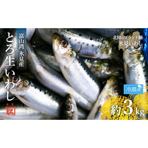 ふるさと納税 富山県 氷見市 氷見いわし　とろ生いわし3kg ＜2月以降発送予定＞　産地直送便 富山県 氷見市 鰯 イワシ 冷蔵 …