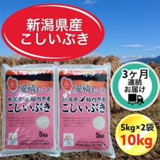 新潟県胎内市産こしいぶき10kg(5kg×2袋)全3回