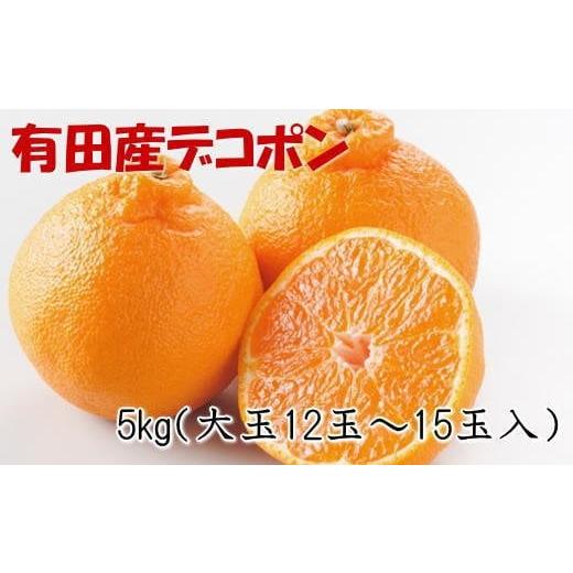 ふるさと納税 和歌山県 古座川町 紀州有田産 の 大玉 デコポン 5kg (12玉〜15玉入り・青秀以上) ※2024年1月中旬〜3月下旬頃順次発送…