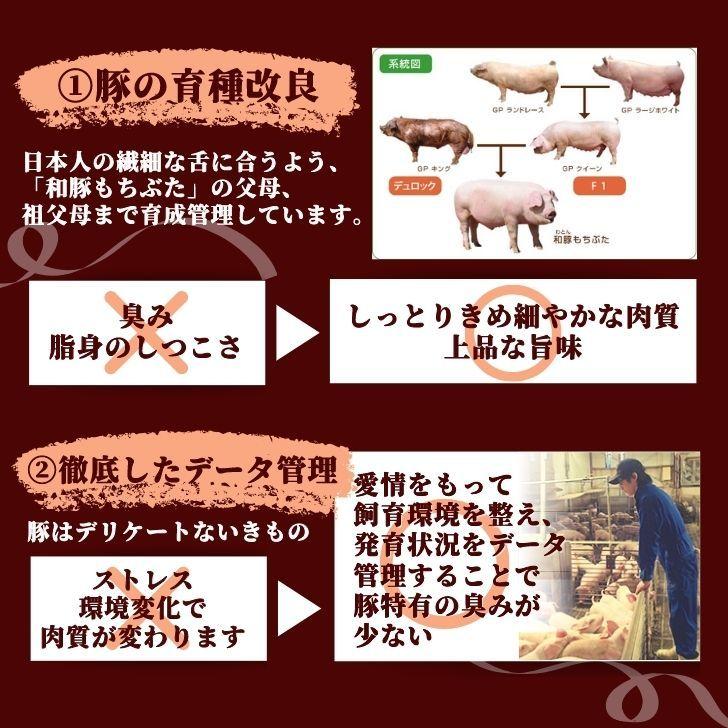 豚肉 冷凍 ギフト 和豚 もちぶた 味付け肉 3パック 6食分 送料無料 国産 豚肉 豚丼 丼の具 安心 手作り 新潟県 グルメ お取り寄せ