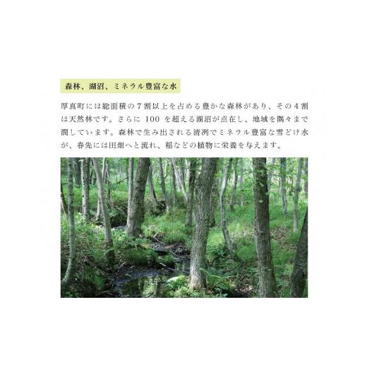 ふるさと納税 北海道 厚真町 《令和5年度産 新米》北海道厚真町産　さくら米（ななつぼし）30kg