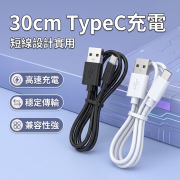 【台灣現貨】30cm Type-C 充電線 USB to Type-C 數據線
