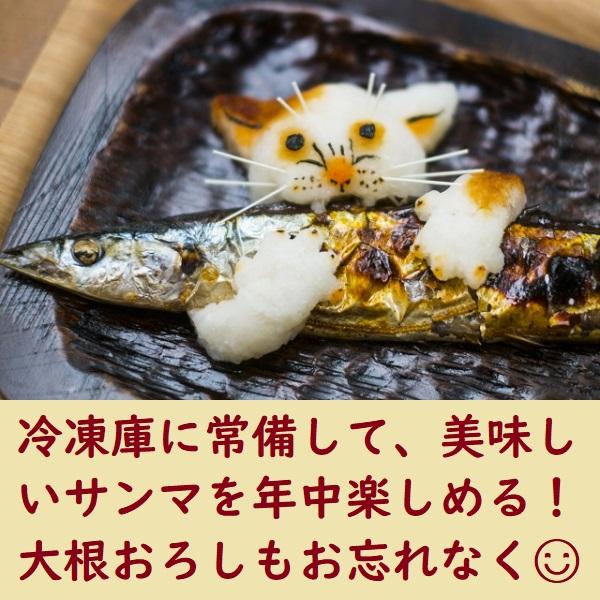 北海道の伝統食！ 糠さんま ３尾入り 脂乗り良し サンマ  秋刀魚 冷凍