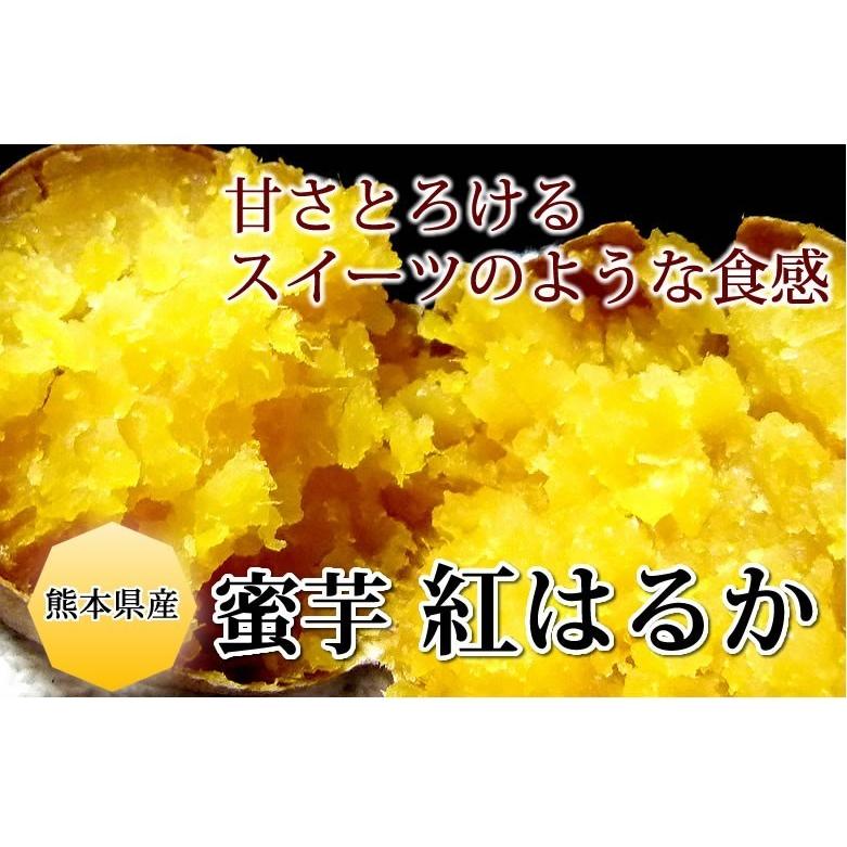 さつまいも 紅はるか 送料無料 4.5kg 熊本県産 べにはるか サツマイモ 紅蜜芋 焼き芋 芋 いも