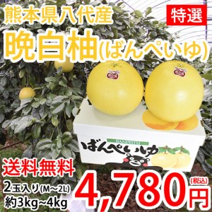 晩白柚 みかん ばんぺいゆ 送料無料 特選 約3kg～4kg 2玉入 M～2Lサイズ  世界最大級の柑橘 熊本県八代産 蜜柑 ミカン