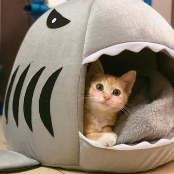 鯊魚貓窩【寵家 Pet Home】寵家 Pet Home 鯊魚窩 貓窩 寵物窩 狗窩 鯊魚房子窩 - M