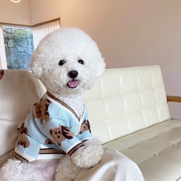 【汪喵森活】 泰迪熊針織衫 3色 毛衣 狗衣服 比熊 博美 貴賓 貓咪 小狗服飾 吉娃娃 雪納瑞 西施 比熊犬 秋冬服飾