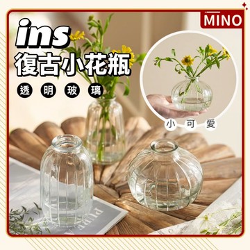 ins復古玻璃小花瓶【台灣現貨】透明玻璃桌面小花瓶 迷你小花瓶 可愛小花器 插花小玻璃瓶 裝飾小擺件 小清新 開立發票