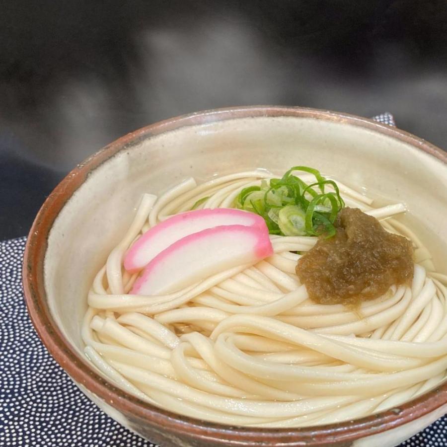 九州産 国産小麦 うどん 九州産小麦のおうどん 240g×３袋（9食入り） 長崎 福岡 食の安全 送料無料