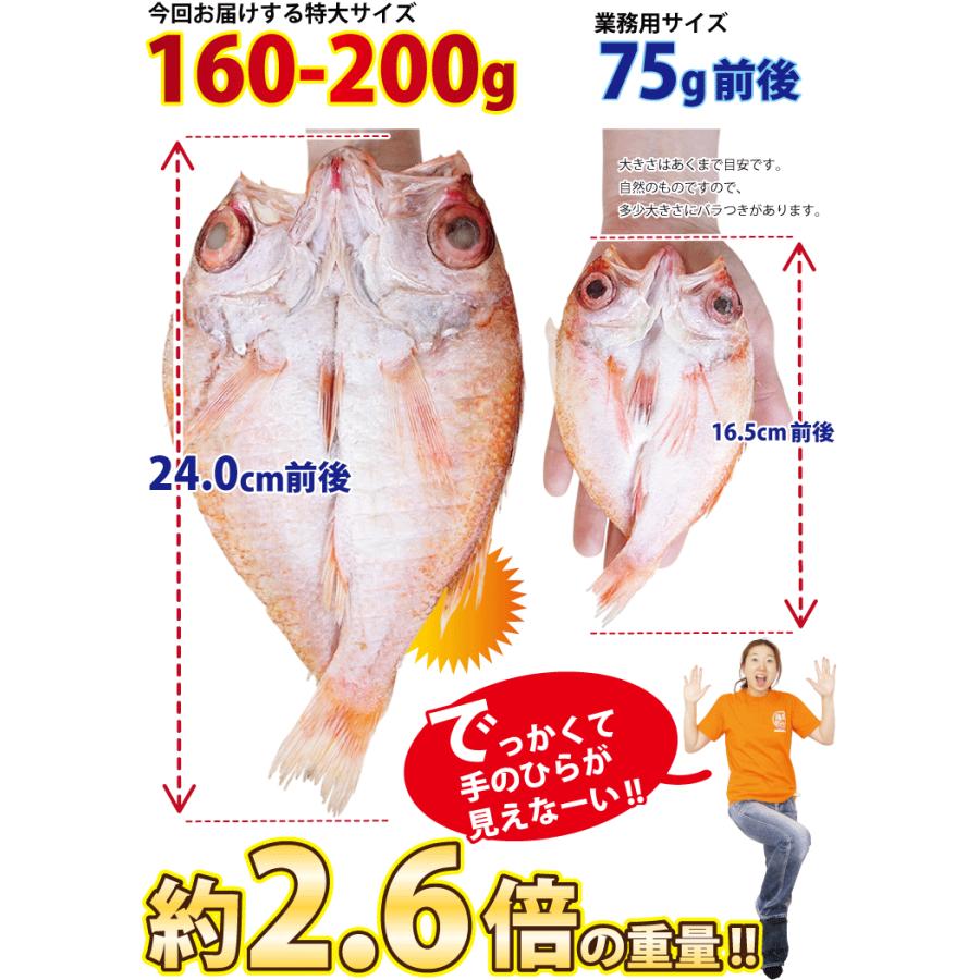 のどぐろ 魚 干物  160-200g×1枚 ノドグロ 干物セット 無添加 一夜干し魚 ((冷凍)) プレゼント ギフト