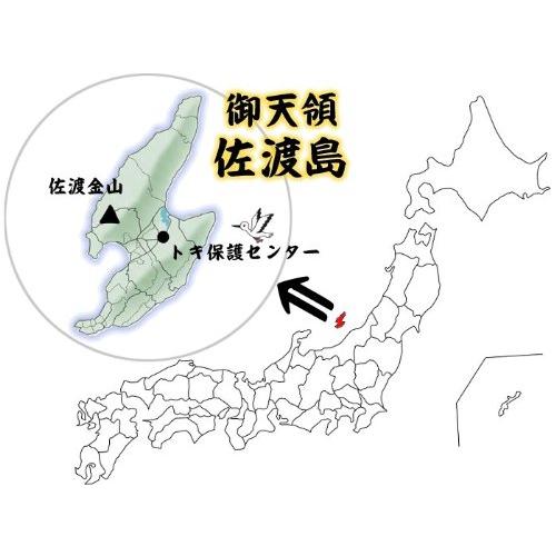  朱鷺と暮らす郷 新潟 佐渡産 こしひかり 特別栽培 令和4度度産 (玄米, 5kg)