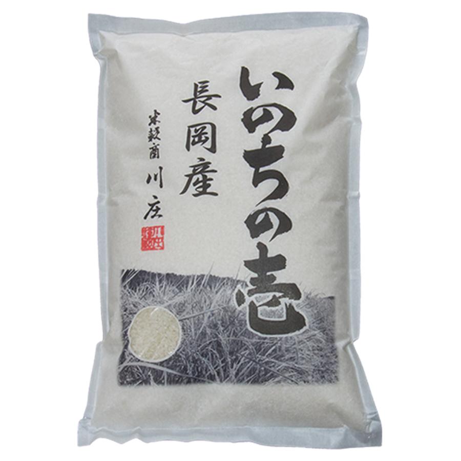 お米 15kg 新潟県長岡産 いのちの壱 5kg×3袋 送料無料 令和5年産米 白米