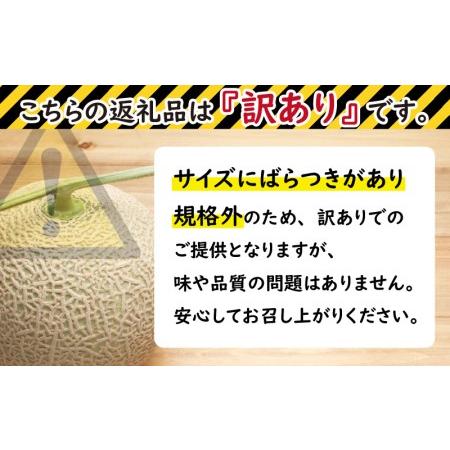 ふるさと納税 坂井市産 アールスメロン 2玉 [A-3232] 福井県坂井市