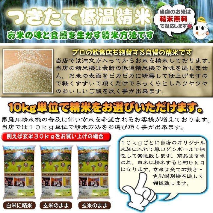 新米 令和５年 米 お米 20kg コシヒカリ 玄米 20kg 送料無料 新潟県佐渡産天日干 コシヒカリ  ｜ 玄米 米 お米 20kg 送料無料