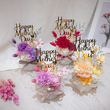 康乃馨永生花盆花 母親節限定 不凋花 永生花 禮物 裝飾 花禮