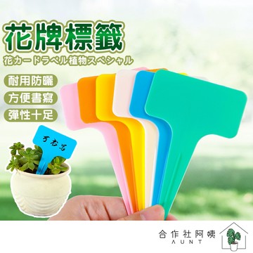 【隔日配送-免運】植物插牌 植物名牌 植物標籤 多肉花牌 插地花牌 園藝標籤牌 花卉標籤