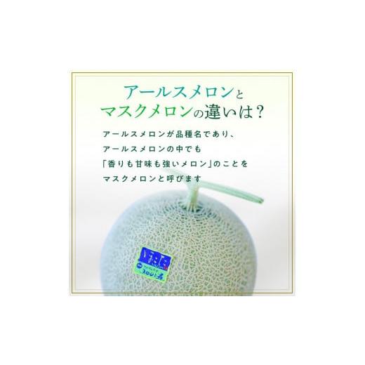 ふるさと納税 茨城県 鉾田市 高級アールスメロン（マスクメロン）　2個入り（約3kg〜4kg）／大玉