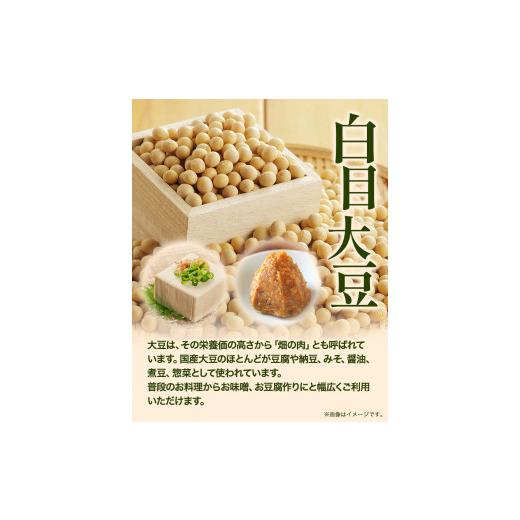 ふるさと納税 北海道 本別町 令和5年度産 北海道十勝 本別町産 白目大豆8kg(4kg×2袋) 《60日以内に順次出荷(土日祝除く)》本別町農業協同組合 送料無料 北海…