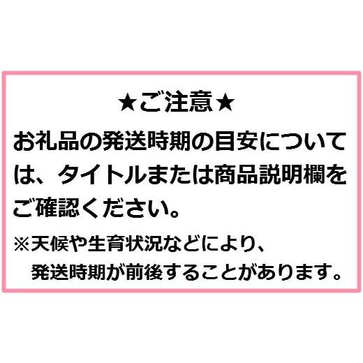 ふるさと納税 青森県 三戸町 高級りんご「はるか」12〜20玉（約5kg）