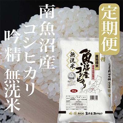 ふるさと納税 南魚沼市 無洗米 吟精 南魚沼産コシヒカリ 全9回