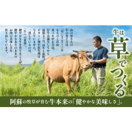 ふるさと納税 生産者直送！GI認証　くまもとあか牛すき焼き用(500g)・焼き肉用(500g)食べ比べセット 熊本県産山村