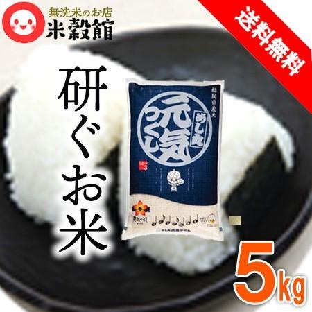 米 5kg 送料無料 九州 福岡県産 めし丸 元気つくし 5kg×1個 研ぐお米令和5年産