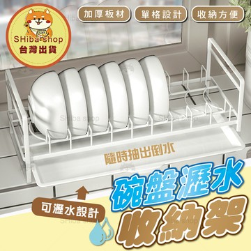 碗盤瀝水架 瀝水架 碗盤收納架 廚房瀝水架 碗盤架 廚房收納架 碗架 盤架 雙層瀝水架 碗筷瀝水架
