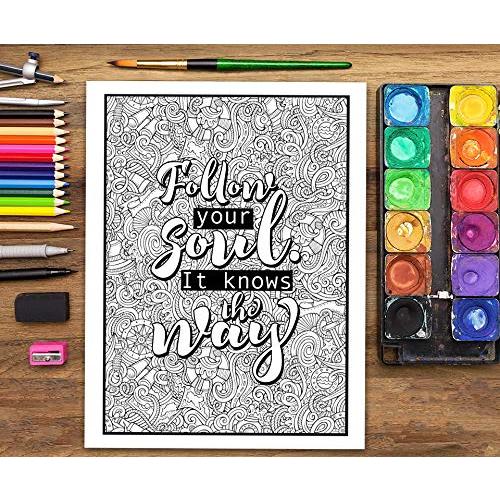 An Inspirational Colouring Book For Everyone: Be Fearless In The Pursuit Of What Sets Your Soul On Fire