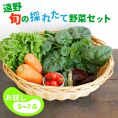 旬のとれたて野菜セット(5~7品)