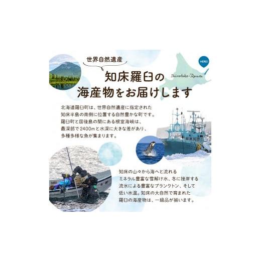 ふるさと納税 北海道 羅臼町 12月17日入金分まで 年内発送 北海道産 知床羅臼産ボタンエビ 大サイズ300g ぼたんえび ぼたん海老 魚介類 北海道 魚介 海産物 冷…