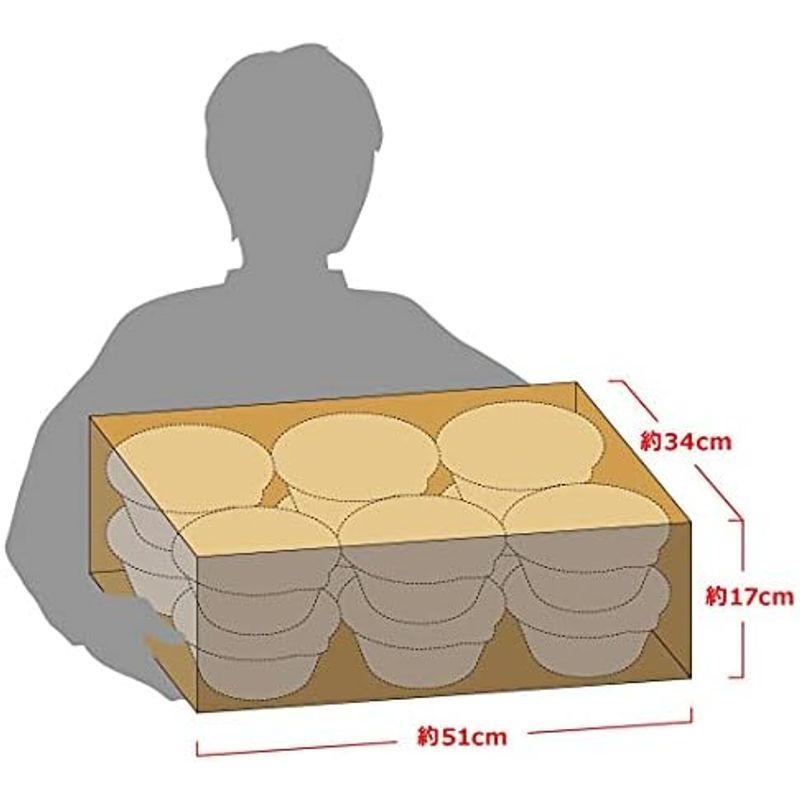 日清食品 どん兵衛 特盛きつねうどん 西 130g×12個