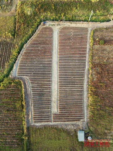 獨家專約萬金稀有休閒農地｜屏東縣萬巒鄉萬金段