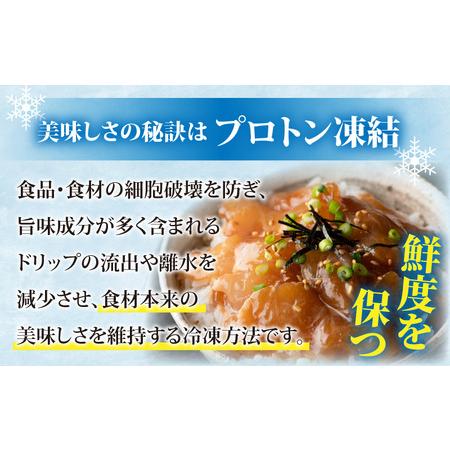 ふるさと納税 干物屋さんの漬け丼 全種類セットミニ（プロトン凍結） 福井県高浜町