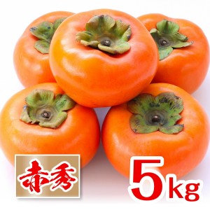 [送料無料]和歌山県産 富有柿 甘柿 あま柿 産地直送 フルーツマイスターが選別(5kg)
