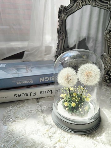 永生花蒲公英玻璃鐘罩