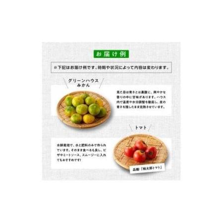 ふるさと納税 産直おすず村 季節の野菜と果物 厳選 詰め合わせセット（大） 全4回 宮崎県川南町