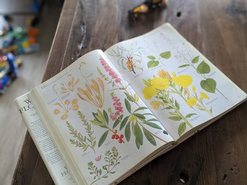 不列顛群島的野花/老書/古書/圖鑑/花藝