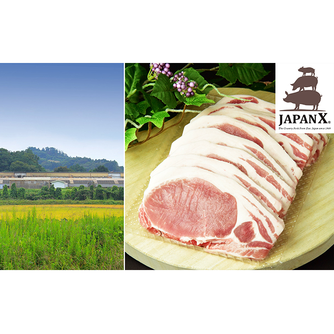 牧場直送JAPAN X 豚ロースステーキ15枚 計1.5kg