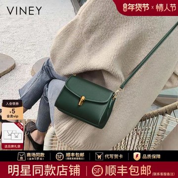 Viney包包女2025新款秋冬女包斜挎包小方包高級感小包百搭腋下包