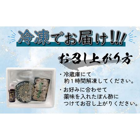 ふるさと納税  ふぐ 刺身 鍋 2人前 天然 セット 特製 ポン酢 付き 新鮮 鮮度 抜群 下関 人気 返礼品 （ ふぐ フグ 国産天然まふ.. 山口県下関市