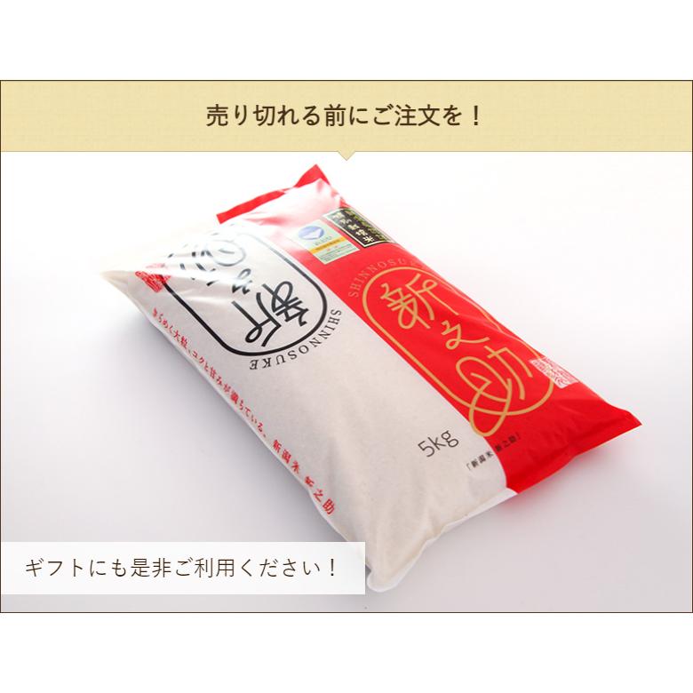 特別栽培米（減農薬・減化学肥料）新潟産 新之助 精米5kg ファーム小栗山 送料無料