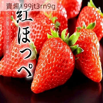 🍓草莓種子🍓（250粒）四季高產 紅臉頰（べにほっぺ）種子  原日本草莓品種 原產地稀有紅臉頰草莓種子