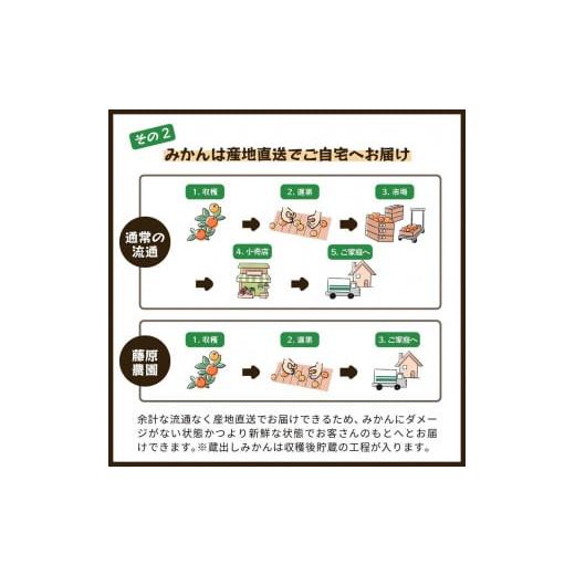 ふるさと納税 和歌山県 海南市 蔵出しみかん丹生系｜和歌山県海南市下津町の特産品蔵出しみかんの最高級品種